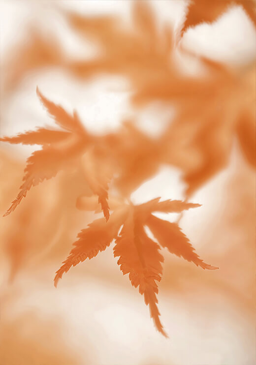 Poster preview