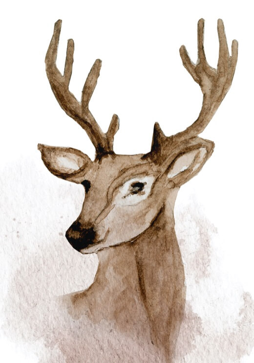 Poster preview