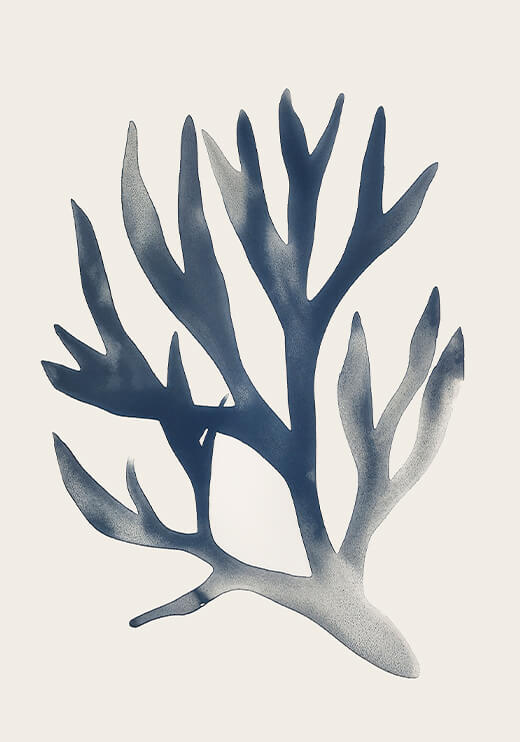 Poster preview