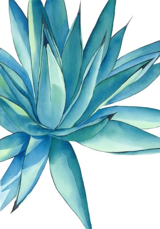 Poster preview