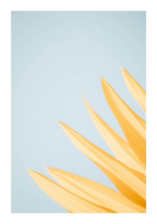 Poster preview