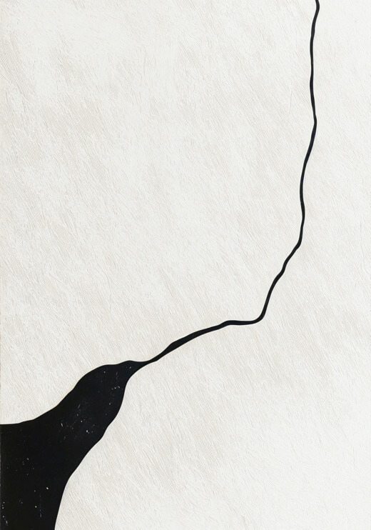 Poster preview