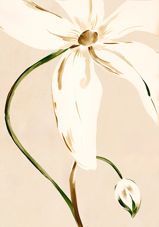 Poster preview
