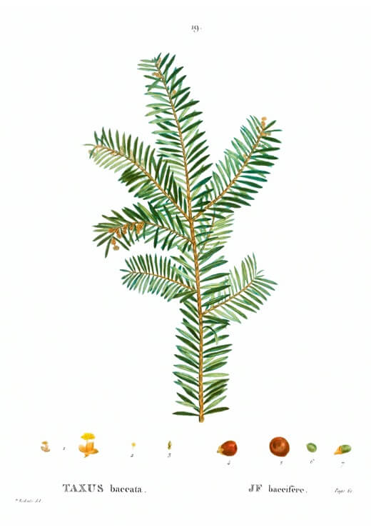 Poster preview