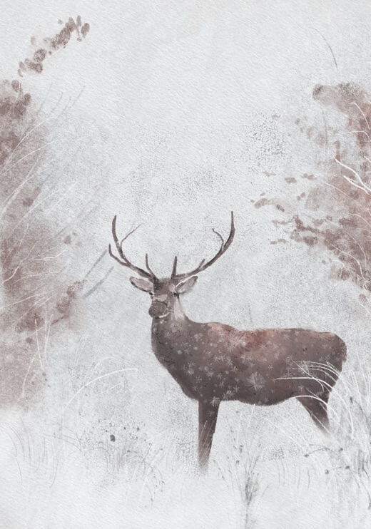 Poster preview