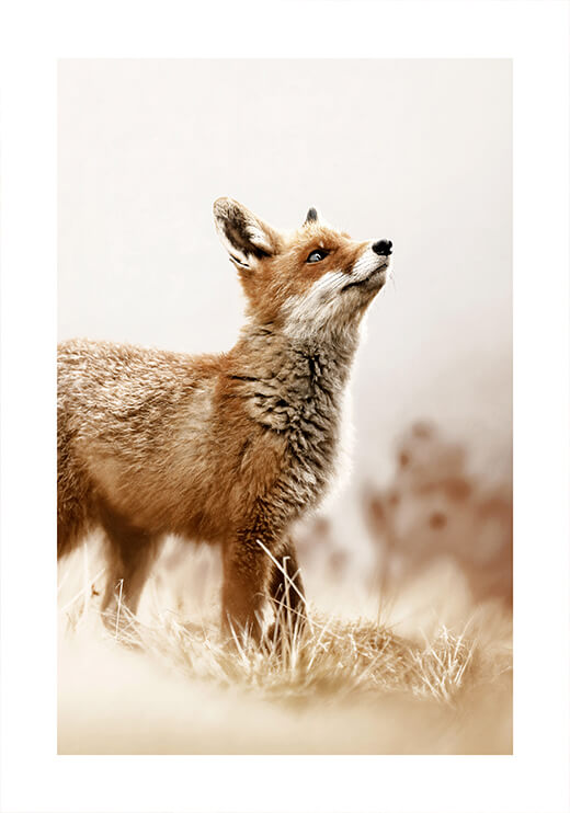 Poster preview