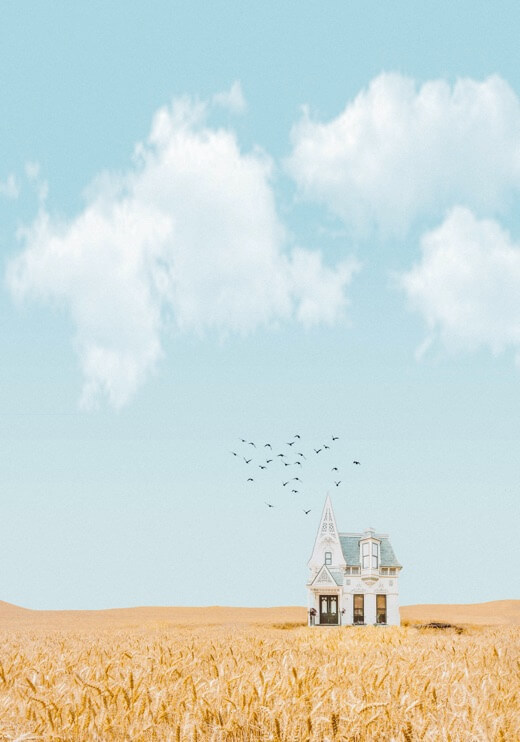 Poster preview