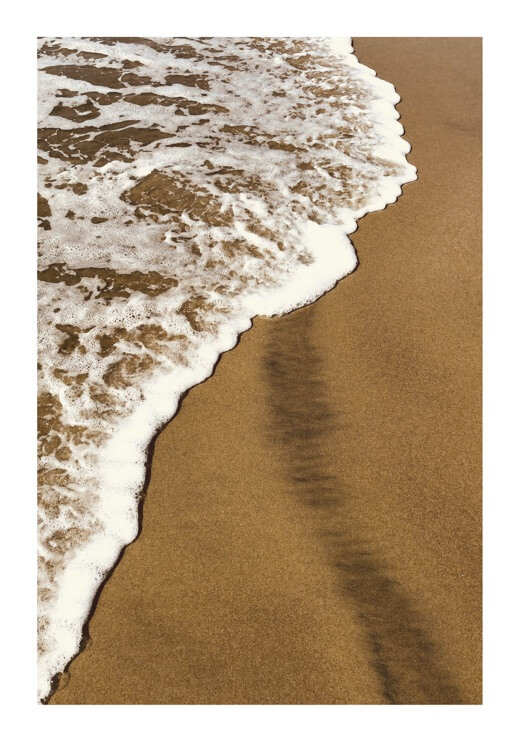Poster preview