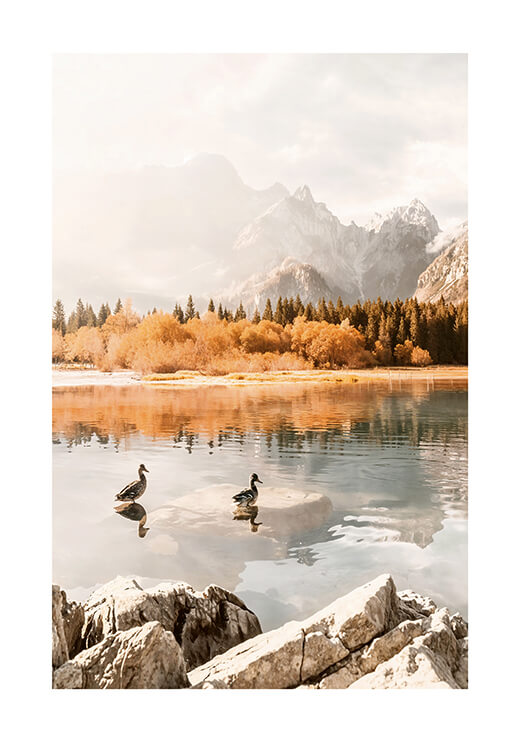 Poster preview