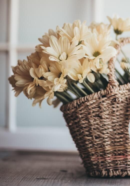 Poster preview