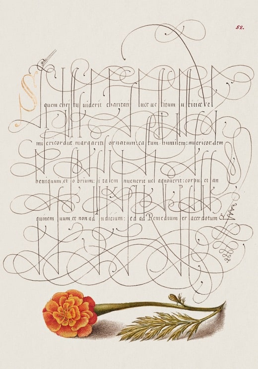 Poster preview