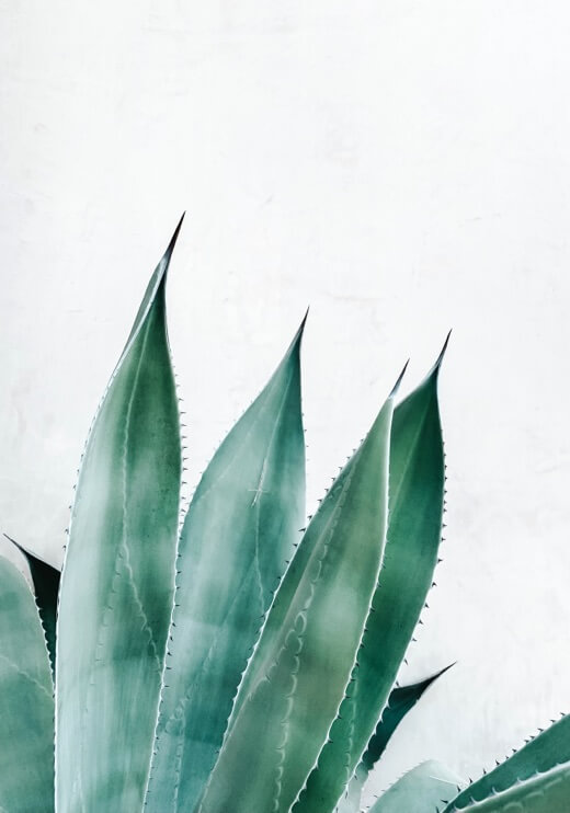 Poster preview