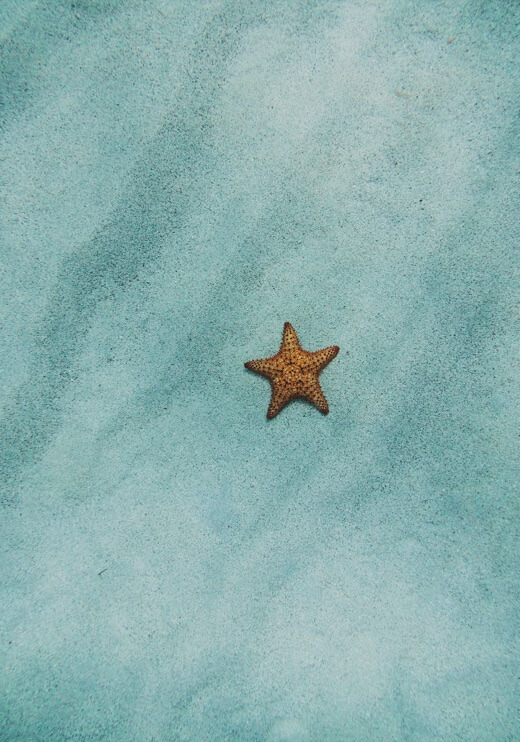 Poster preview