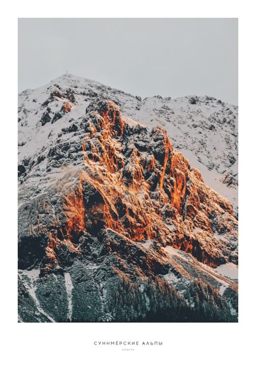 Poster preview