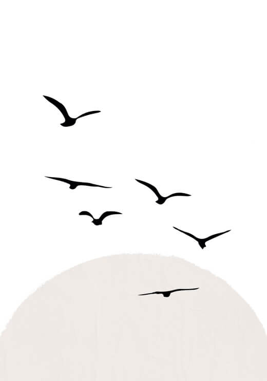 Poster preview