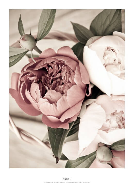 Poster preview