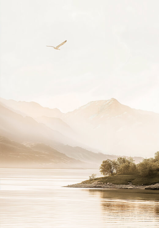 Poster preview