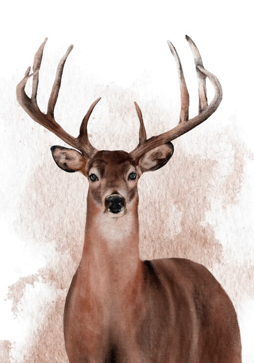 Poster preview