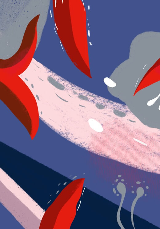 Poster preview