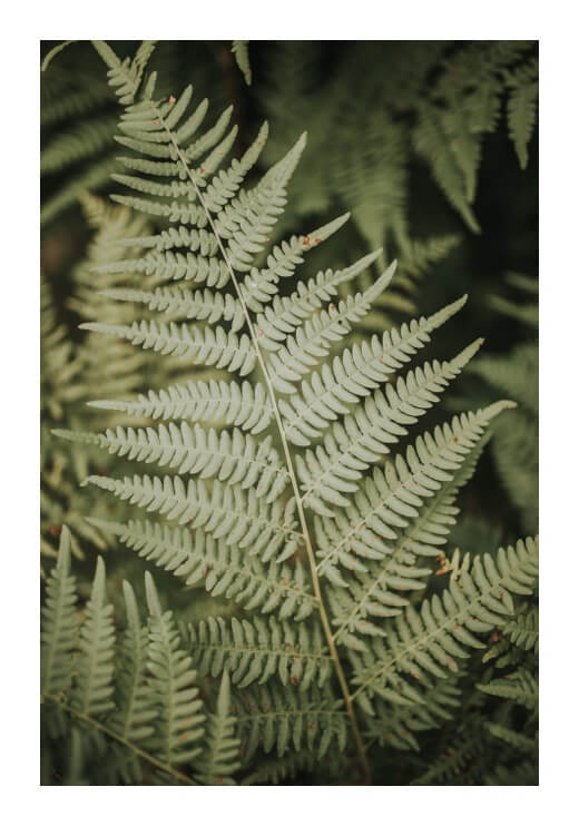 Poster preview