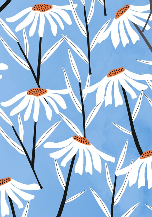 Poster preview