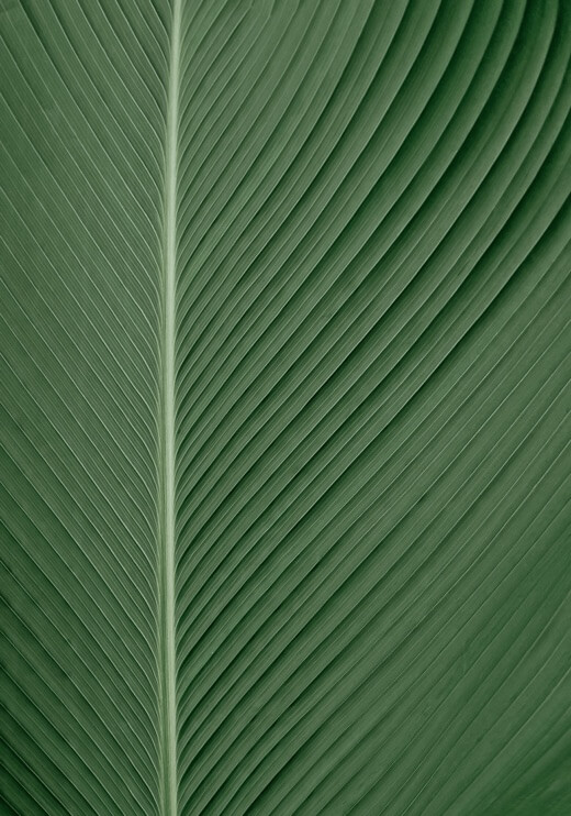 Poster preview