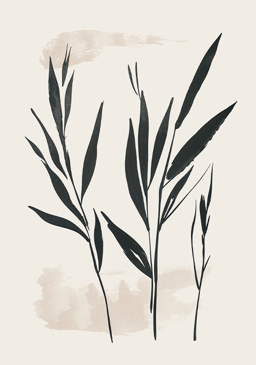 Poster preview