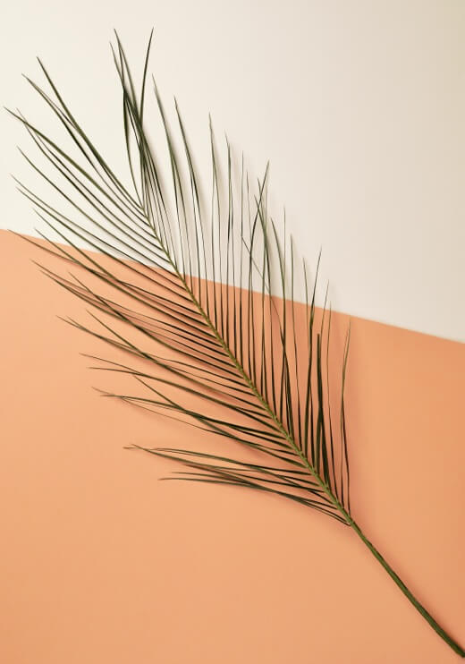 Poster preview