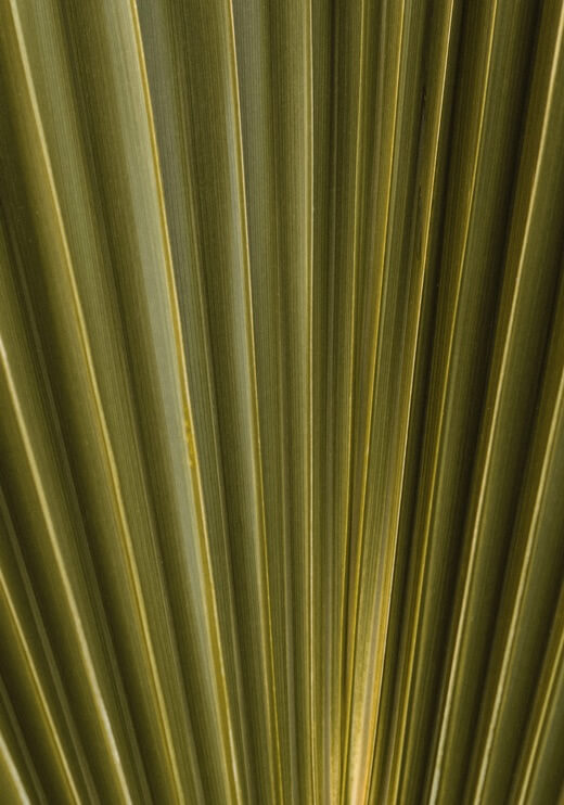 Poster preview
